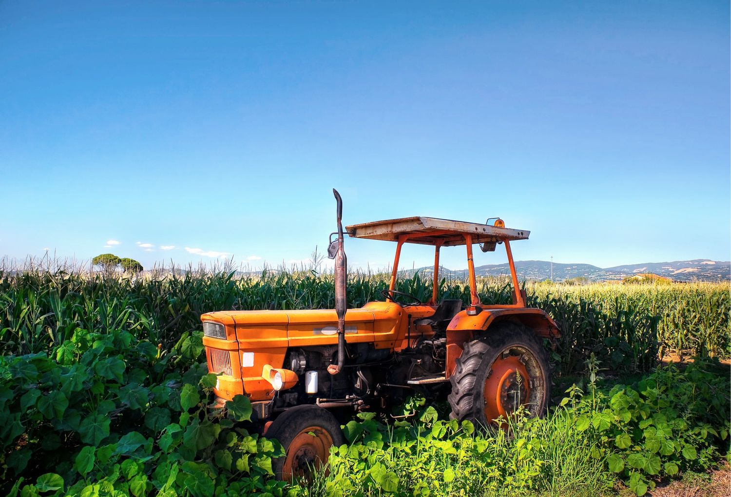 Agriculture Collections