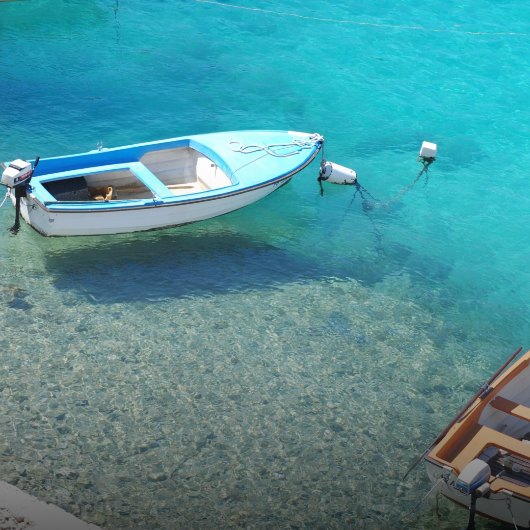 Nippon Paint Marine Coating Finishing Coat 5l vrogue.co